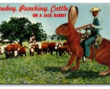 Comic Exaggeration Cowboy Punching Cattle on Jack Rabbit Chrome Postcard... - $2.92