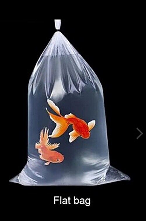 6 X 20 SHIPPING CLEAR FLAT BAGS FOR FISH, SHRIMP, PLANTS, SNAILS. LEAK P... - $10.88+