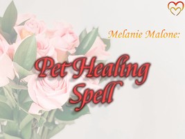 Pet Healing Spell + 1 Booster ~ Promote Healing, Restore Vitality, Relieve Physi - $50.00