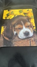 Mead Beagle Puppy 3 Hole School Folder  Not Punched - €3,97 EUR