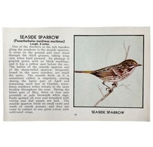 Seaside Sparrow Bird Print 1931 Blue Book Birds Of America Antique Art P... - $19.99