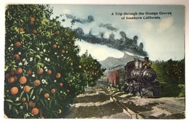 1912 Trip Through The Orange Groves Southern California Train Railroad PC - £7.07 GBP