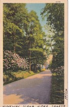 Sparta MI Michigan Highway Scene Postcard E03 - £6.28 GBP