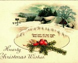 Hearty Christmas Wishes Cabin Snow Scene Pine Bough Birds 1910s Vtg Post... - $3.91