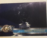 Star Trek Cinema Trading Card #30 Swimming With Whales - £1.56 GBP