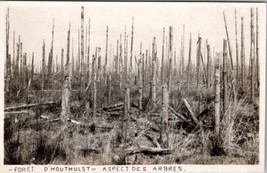 Belgium Houlthoust The Forest WW1 Destruction Real Photo Postcard Y17 - £23.45 GBP