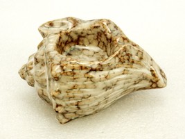 Ceramic Conch Shell Tealight Candle Holder, Brown Marbled, Tii Collections D3416 - £19.36 GBP