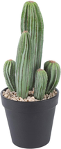 Tiangeplant Artificial Saguaro Cactus Faux Plants 11 Inch with Black Pot for Hom - £28.32 GBP