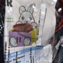 Home Depot Kids Workshop Bunny Hanging Planter Kit NEW - $12.16