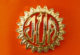 Subdistrict Administrative Organization (SAO) unit PINS BADGE Unit insig... - $8.91
