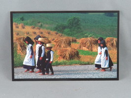 Vintage Postcard - Walking to Church Ohio Amish Country - Doyle Yoder - £11.80 GBP
