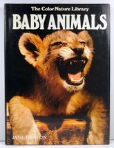 Baby Animals Jane Burton The Color Nature Library  - $4.25