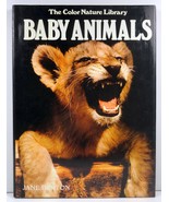 Baby Animals Jane Burton The Color Nature Library  - $4.25