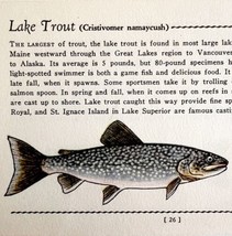 Lake Trout 1939 Fresh Water Fish Art Gordon Ertz Color Plate Print PCBG20 - £23.71 GBP
