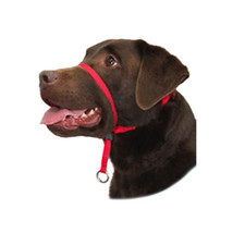 Gentle Leader Dog Head Colllar - Medium - $48.81