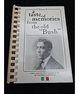 Vtg 1990 Taste of Memories Old Bush Vol II Italian Cookbook Greenbush Wi... - $537.87 MXN