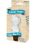 GAMAGO Literary Grapes Edgar Allan Poe Bottle, Medium, Wine Stopper - £7.43 GBP