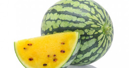 Watermelon Yellow Petite Heirloom Delicious Fruit 11 Seeds Fresh Gardening USA S - $11.98