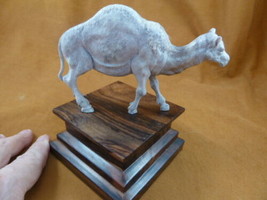 (camel-1) walking Camel of shed ANTLER figurine Bali detailed carving dr... - $149.36