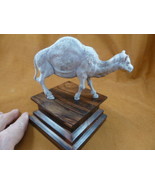 (camel-1) walking Camel of shed ANTLER figurine Bali detailed carving dr... - $149.36