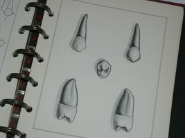 Item image 10