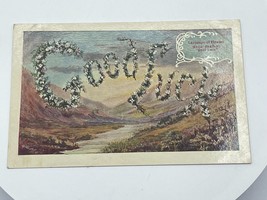 Vintage Postcard Good Luck Language Of Flowers White Heather Unused Blank - £3.54 GBP