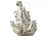 Frog Unisex Charm .925 Silver 220265 - £71.36 GBP