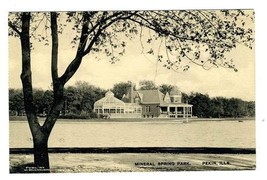 Mineral Spring Park  Pekin Illinois W Blenkiron Albertype Postcard 1910 - £11.12 GBP