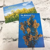 Kentucky State Flower Goldenrod Vintage Postcard Lot Of 2 Unposted Travel USA - £7.95 GBP