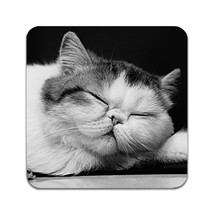 2 PCS Exotic Shorthair Cat Coasters - £13.55 GBP