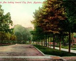 Vtg Postcard c 1908 Park Ave Looking Toward City Park - Appleton, Wisconsin - $5.89