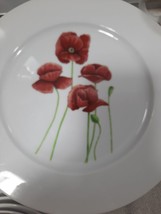 4 Rose Plate And  2 Cut With 5 Plain Saucers Not A Real Set - £5.20 GBP