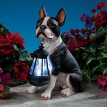 Realistic Boston Terrier Dog Garden Sculpture Holding Solar LED Lighted ... - £47.10 GBP