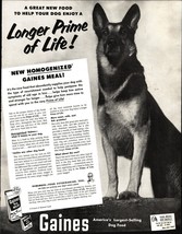 Magazine Ad* - 1952 - Gaines Dog Food - German Shepherd d2 - £17.77 GBP