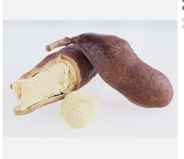 Hymenaea coubaril seeds Algarroba Carob stinky toe gallito Ld pick qty - $22.36+