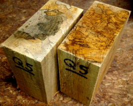 Two (2) Spalted Birch Bowl Blank Lathe Turning Lumber Wood 6&quot; X 6&quot; X 3&quot; Q5 - £27.65 GBP