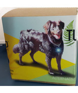 Tumorid® Salve: Tumor Remover for Pets, Small Size - $55.00