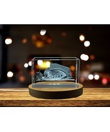 LED Base included | Salvador Dali Museum 3D Engraved Crystal Gift - €22,32 EUR+