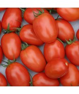 MX Tomato Seeds Roma Vf Heirloom Non GMO Meaty &amp; Flavorful Bulk Seed - $14.06 CAD