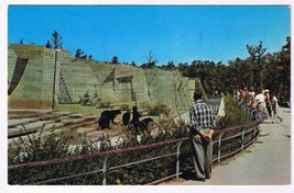 Manitoba Postcard Winnipeg Assiniboine Park Bear Cages - £2.36 GBP