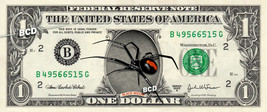 Black Widow SPIDER on REAL Dollar Bill - Cash Currency Bank Note Money Dinero - £11.40 GBP