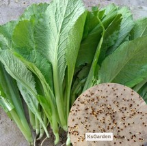 KKG 600 Seeds Green Fresh Garden - $7.89 KKG 600 Seeds Green Fresh Garden - $7.89