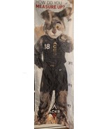 Las Vegas Aces WNBA  Growth Chart . Collectors Item Brand New! - $27.39 CAD