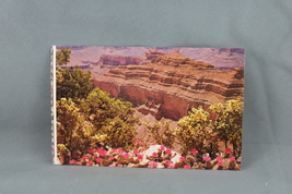 Vintage Postcard - The Grand Canyon Point Sublime View - Petey - £11.99 GBP