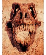 Skeleton Bone Fossil Collection - T-Rex Skull - 18&quot; x 24&quot; Canvas Art Poster - £25.02 GBP