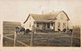 Marengo WISCONSIN~HOUSE-YOUNG Girls On PORCH-COWS In Yard~Real Photo Postcard - £5.45 GBP