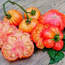 50 + seeds Old German Tomato Tomatoe Vegetable Garden Edible From US  - £6.69 GBP