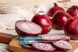 Red Grano Onion Seeds - Heirloom, Non-GMO - 110 Days to Maturity - Mild ... - $4.99+
