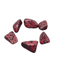 Set 6 Dalmatian Jasper Tumble Stones - Jasper Dalmation Red - $5.61