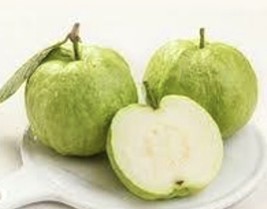 HSeeds Queen Guava, Large-White-Seedless Guava, Psidium Guajava - 10 See... - £10.41 GBP